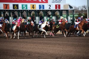 Horse Racing Betting India in Raipur: Complete 2026 Guide for Indian Players